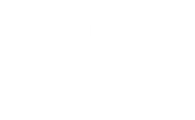 Florida Security Assessments logo